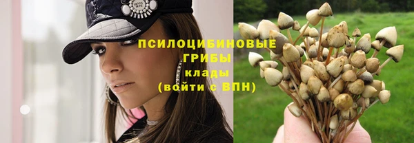 спайс Магас
