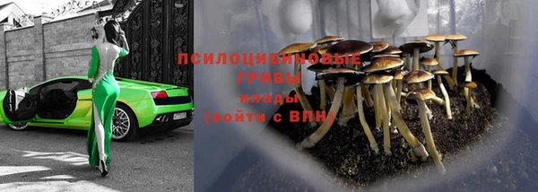 дурь Майский